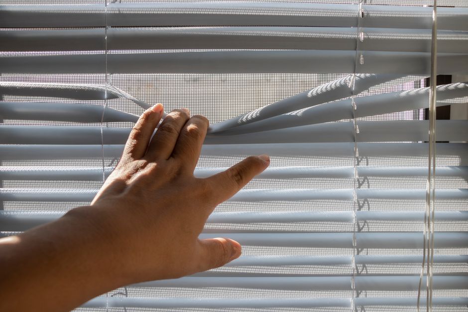 Professional installing window blinds
